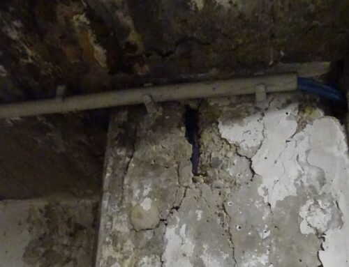 Kriterien für eine Betonsanierung bei Gebäuden, Tief- oder Parkgaragen